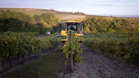 Guerre commerciale : le cognac, victime emblématique des taxes chinoises et américaines