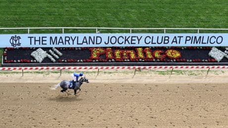 2025 Preakness Stakes picks: Two long shots with upside at Pimlico