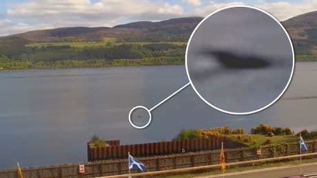 Live-Webcam soll Monster zeigen - Neue Sichtung in Loch Ness