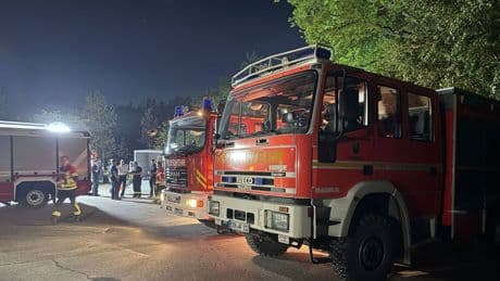 Feuerwehr: 15.000 Quadratmeter Wald in Brand - Großeinsatz
