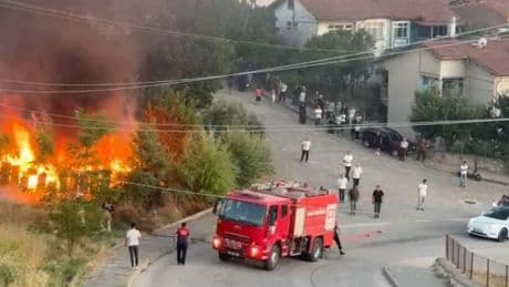 Tokat'ta yangın: Arı kovanları alev topuna döndü!