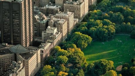 Is Culture The Missing Catalyst In Nature Finance?