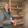 Dievenbende gevat die voor miljoenen euro’s prijsduiven stal, slachtoffer Luc (54) nog steeds in zak en as: “Een levenswerk, in één klap weg”
