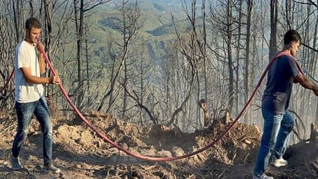Sakarya Hendek'teki yangın kontrol altında