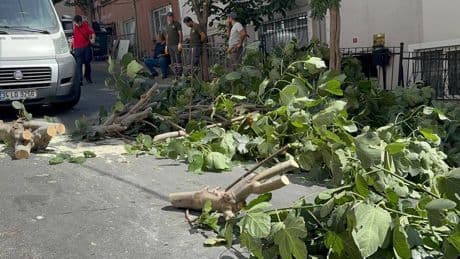 İstanbul’da fırtına: Ağaçlar devrildi, 2 kadın yaralandı