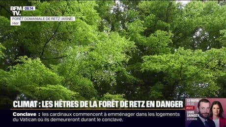"Pour l'année, c'est foutu": à cause de la grêle dans le Rhône, les récoltes sont ravagées