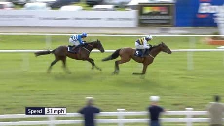 Willie Mullins set to gatecrash Royal Ascot with ‘exciting’ Gold Cup horse bought for £100,000
