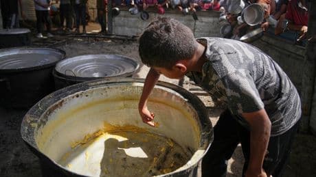 Aid workers feel helpless as Israel's blockade pushes Gaza towards famine