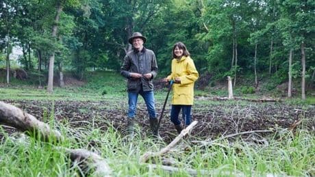 Wie in Berlin ein versunkenes Moor neu entstehen soll