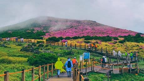 South Korea’s Jeju island cracks down on misbehaving tourists