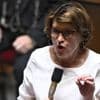 Pétition contre la loi Duplomb : le gouvernement est "pleinement disponible" pour un débat parlementaire, assure la ministre de l'Agriculture
