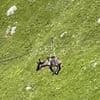 Moment thug sends terrified donkey over a cliff on 330ft zipline ride in front of laughing onlookers as cruel stunt sparks fury
