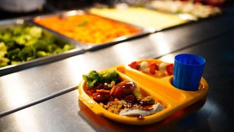 All pupils in families on universal credit to be entitled to free school meals