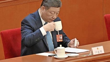 Ernte in Wuyishan: Xi, Oolong-Tee und eine Route nach Moskau