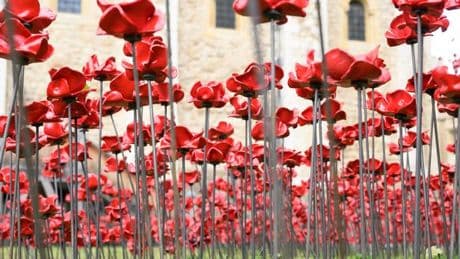 As we mark our nation's greatest victory, our constant refrain must be “never again”