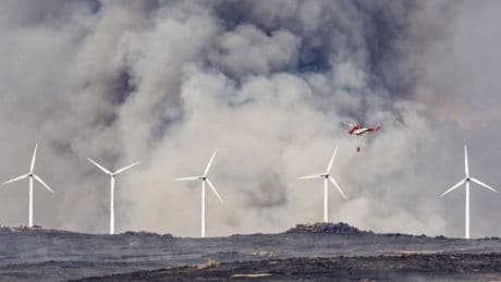 Incendios en Castilla y León: situación dramática, con más de 20 incendios activos, con 11 de gravedad nivel 2 y seis en nivel 1