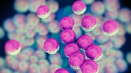 Antibiyotiğe dirençli bakteri hızla yayılıyor! Avrupa'da 11 ülkede görüldü