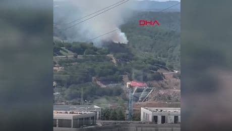 Sultangazi Kent Ormanı'nda yangın