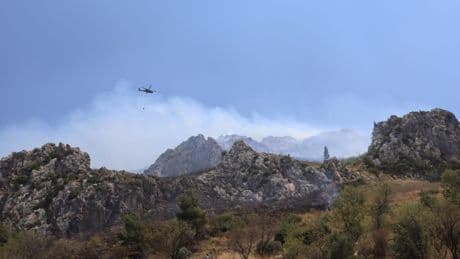 Hatay'da orman yangını