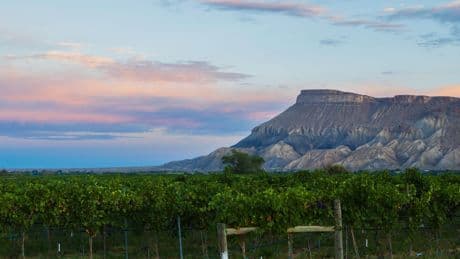 I've lived in Colorado for 4 years and explored over a dozen small towns. My favorite hidden gem involves wine, camping, and gorgeous hiking.