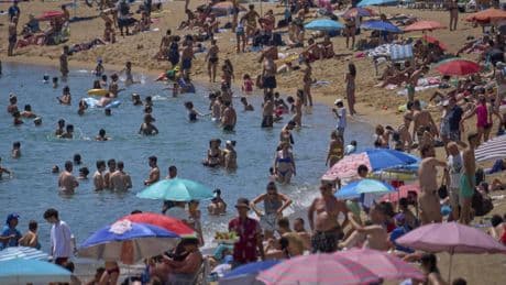 Overdose da vitamina D alle Baleari, 16 persone all'ospedale. Quali sono i rischi