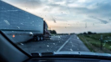 Freie Fahrt: Verschmierte Autoscheiben? So entfernen Sie hartnäckige Insektenrückstände