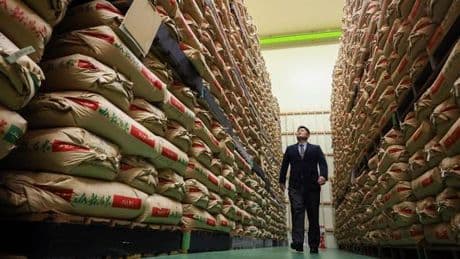 Droits de douane : le riz au cœur de la brouille commerciale entre les Etats-Unis et le Japon