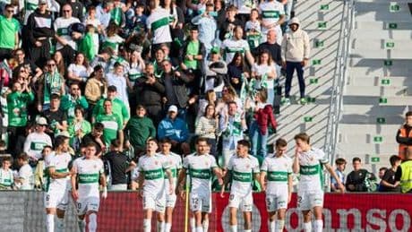 Spanischer Fußballklub FC Elche verbietet Sonnenblumenkerne im Stadion
