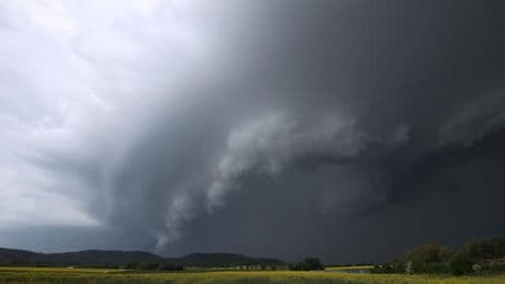 Starker Regen und Windböen: Verletzte bei Unwetter - Bäume auf Gleisen und Autos