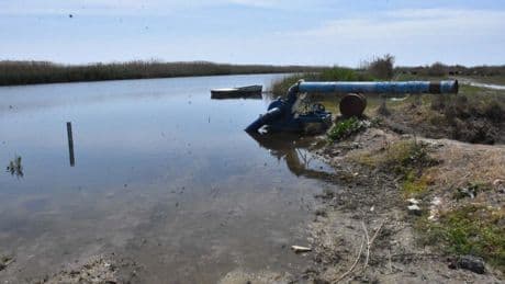 Foça Ziraat Odası: Gediz Nehri kapkara, dokunmaya korkar hale geldik