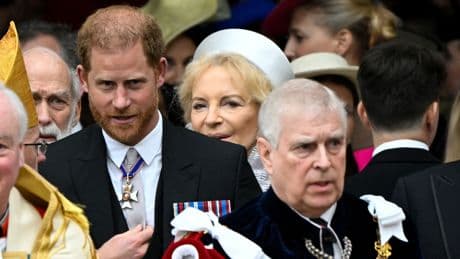 Prince Harry denies having 'physical fight' with Prince Andrew