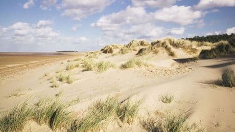 Tourists fall in love with the UK's 'best beach' with the 'most beautiful' sand