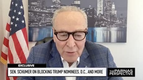 Chuck Schumer drops F-bomb when asked if Dems would back Trump on DC police takeover