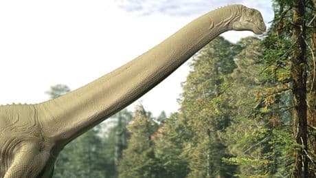 Secrets of sauropod dinosaur revealed by fossilised stomach find