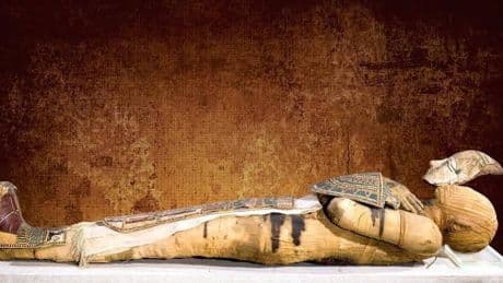 Mysteries of 2,300-year-old mummy Bashiri ‘The Untouchable’ revealed after researchers refused to unwrap ancient fabric