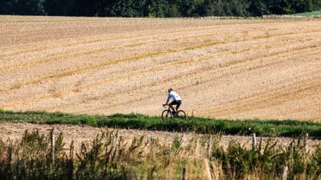 Wetter in Deutschland: Hoch „Mareike“ bringt Wärme – danach drohen Gewitter