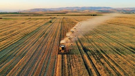 Tarımda üretici enflasyonu martta yüzde 6,91 arttı