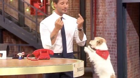 Gennarino di Affari Tuoi, il cane più amato della TV: "Ha un feeling speciale con De Martino"