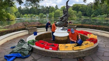 Efteling schept honderden kilo’s muntgeld uit Wensbron voor Save the Children: ’Voel me net Dagobert Duck’