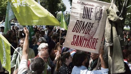 Loi Duplomb : comment l’État organise son impunité judiciaire face aux atteintes à l’environnement