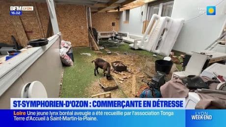 Saint-Symphorien-d'Ozon: une commerçante retrouve son local vandalisé après son congés maternité