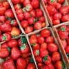 Landwirtschaft: Mini-Ernten bei Erdbeeren und Spargel