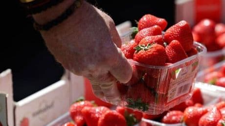 UK households buying strawberries from Tesco, Sainsbury's, M&S and more issued alert
