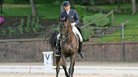 Aufregung im Reitsport: Jahrelanger Missbrauch – 15 Jahre Sperre
