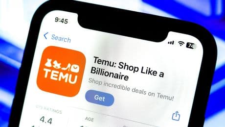Temu's owner saw a nearly 40% profit slump, thanks in part to Trump's tariffs