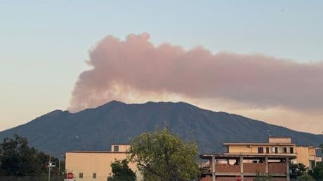 Grote natuurbrand bij vulkaan Vesuvius in zuiden van Italië