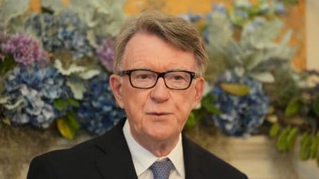 Peter Mandelson sacked as US ambassador after fresh revelations over his links to Epstein
