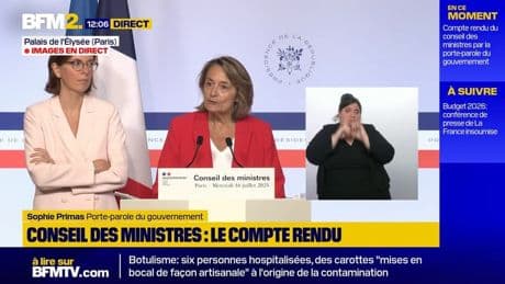 Emmanuel Macron: le plan d'économies présenté par François Bayrou a "la vertu du courage, de l'audace et de la lucidité"