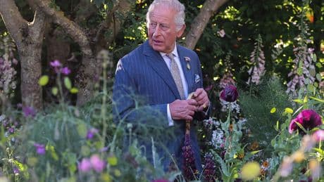 King Charles III Visits Canada: What to Know