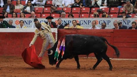 “Adieu la corrida ?” : à Mexico, la loi sans violence pousse les organisateurs à jeter l’éponge